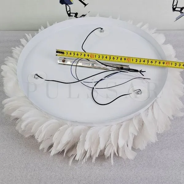 Потолочная люстра FEATHERS CH