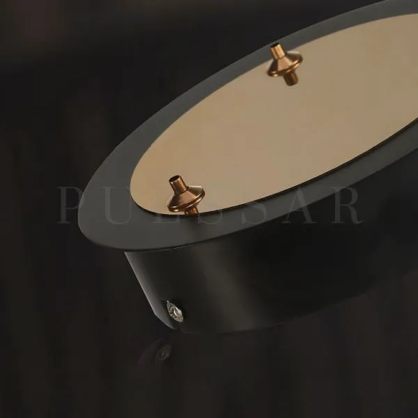 Кольцевая люстра SATURNA CH