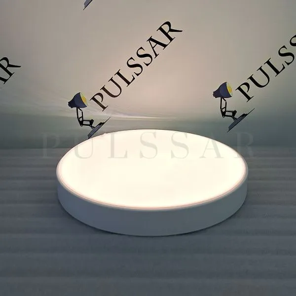 Потолочный светильник DISC BW