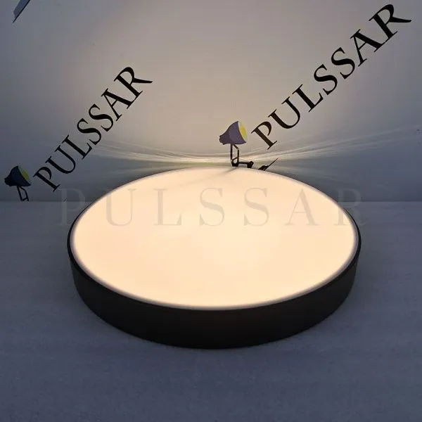 Потолочный светильник DISC BW