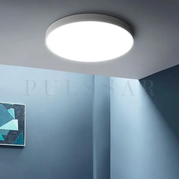 Потолочный светильник DISC BW