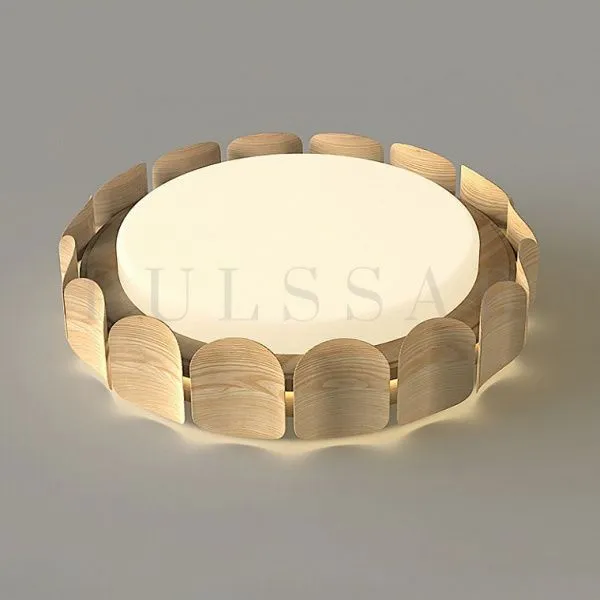 Потолочный светильник SHELT