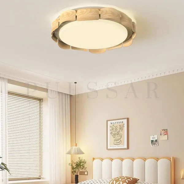 Потолочный светильник SHELT