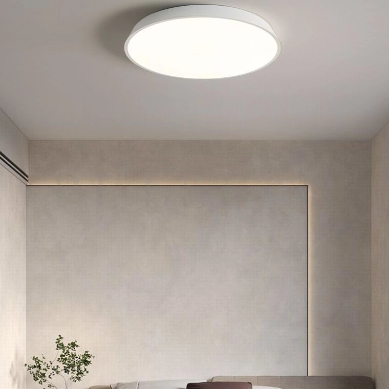 Потолочный светильник TERRA