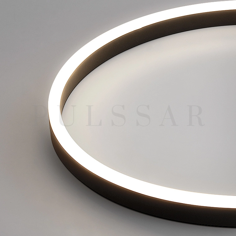 Потолочный светильник MONET