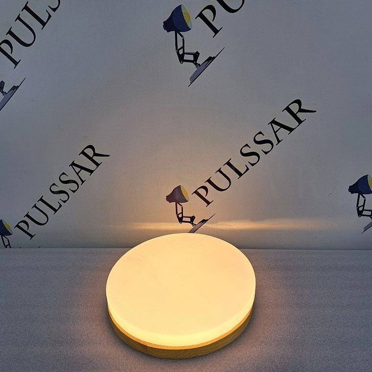 Потолочный светильник DISC HALF