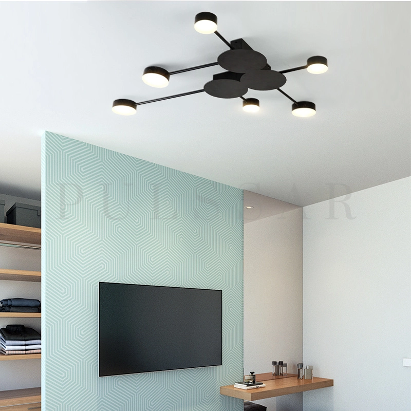 Потолочная люстра ASBRO