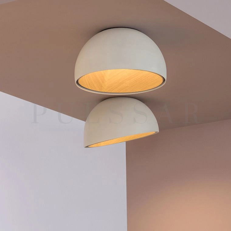 Потолочный светильник BARA