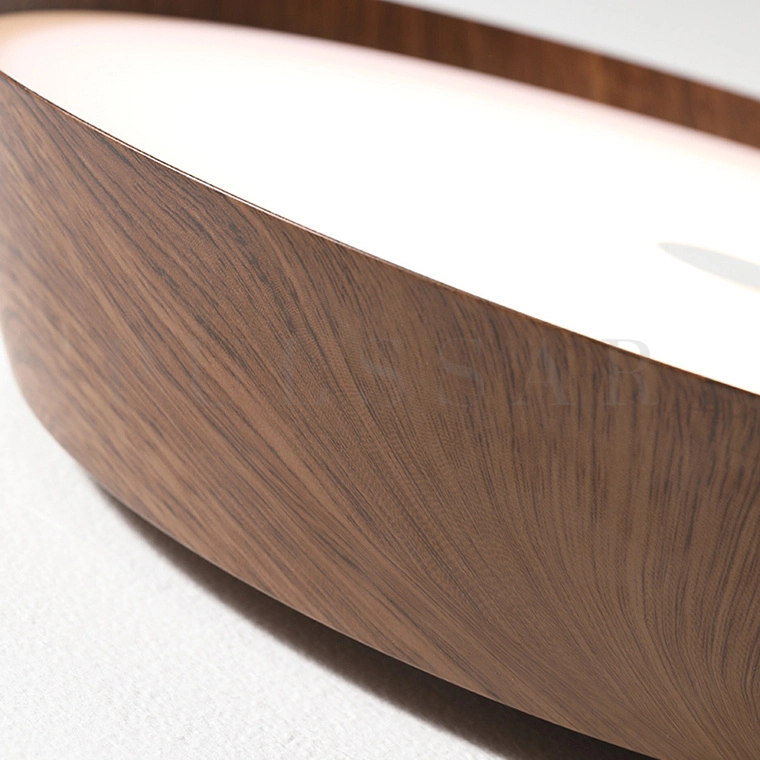 Потолочный светильник VASABI