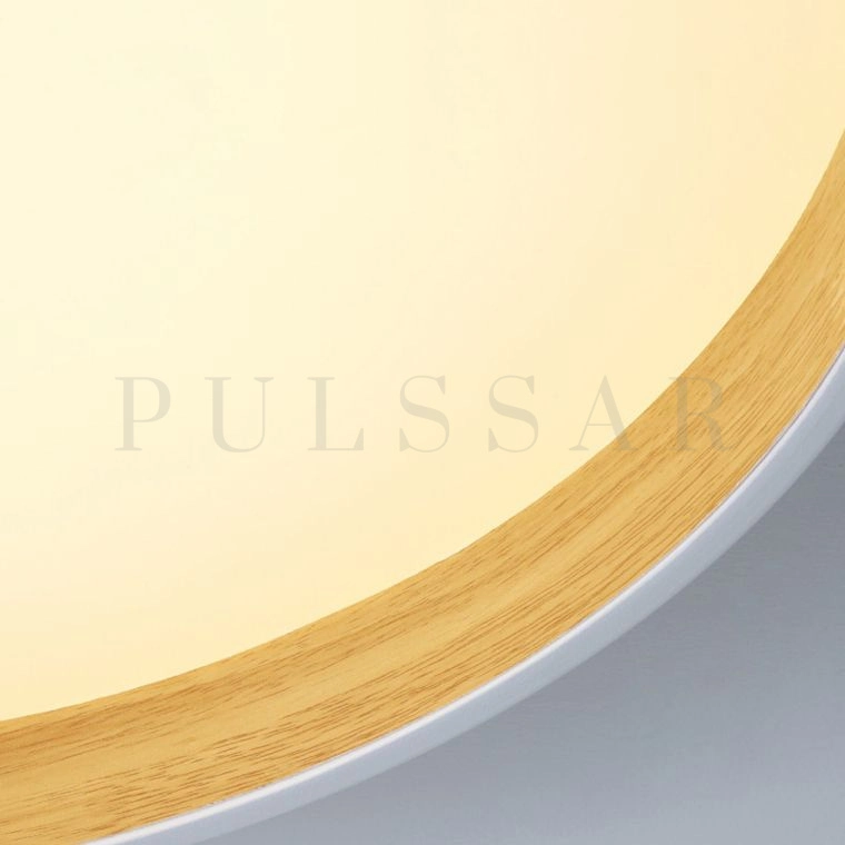 Потолочный светильник NETTY