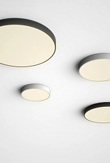 DISC BW