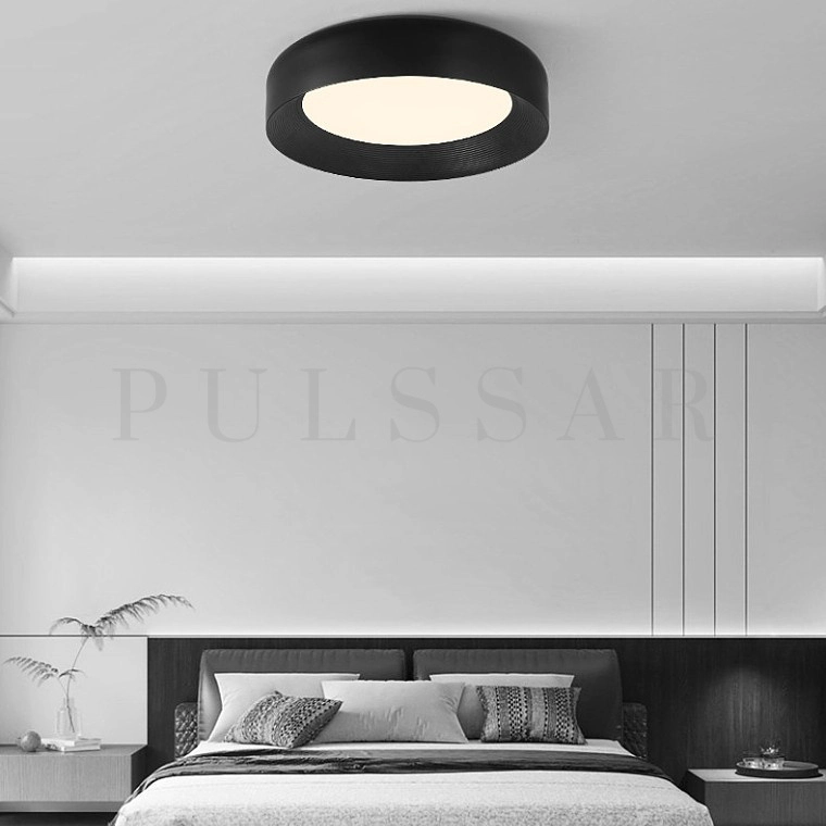 Потолочный светильник ROY CH