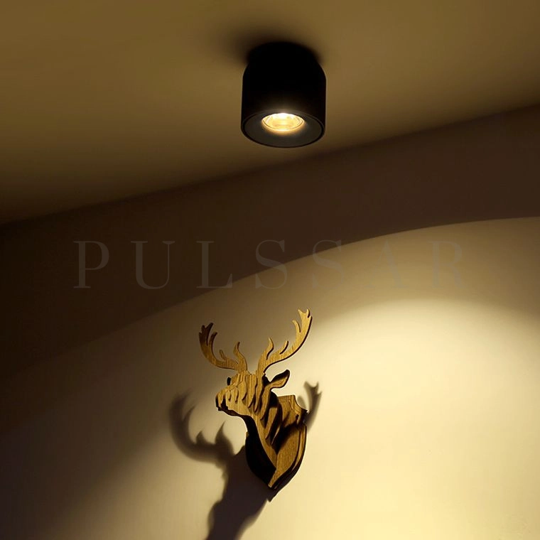 Точечный светильник Model 110