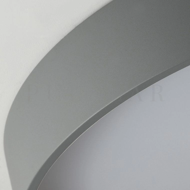 Потолочный светильник NETTY