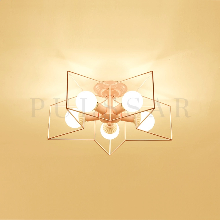 Потолочная люстра ASTERI