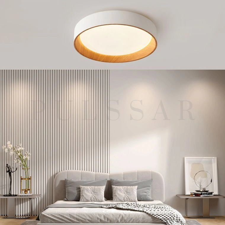 Потолочный светильник WENNY