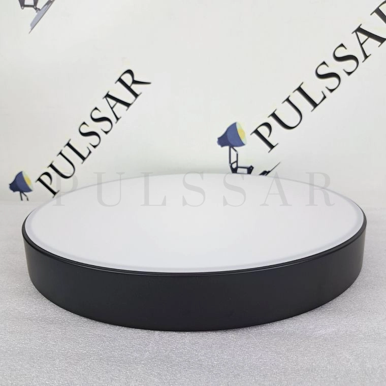 Потолочный светильник DISC BW