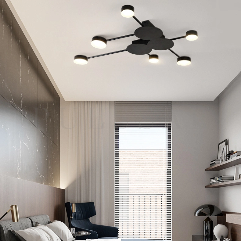 Потолочная люстра ASBRO