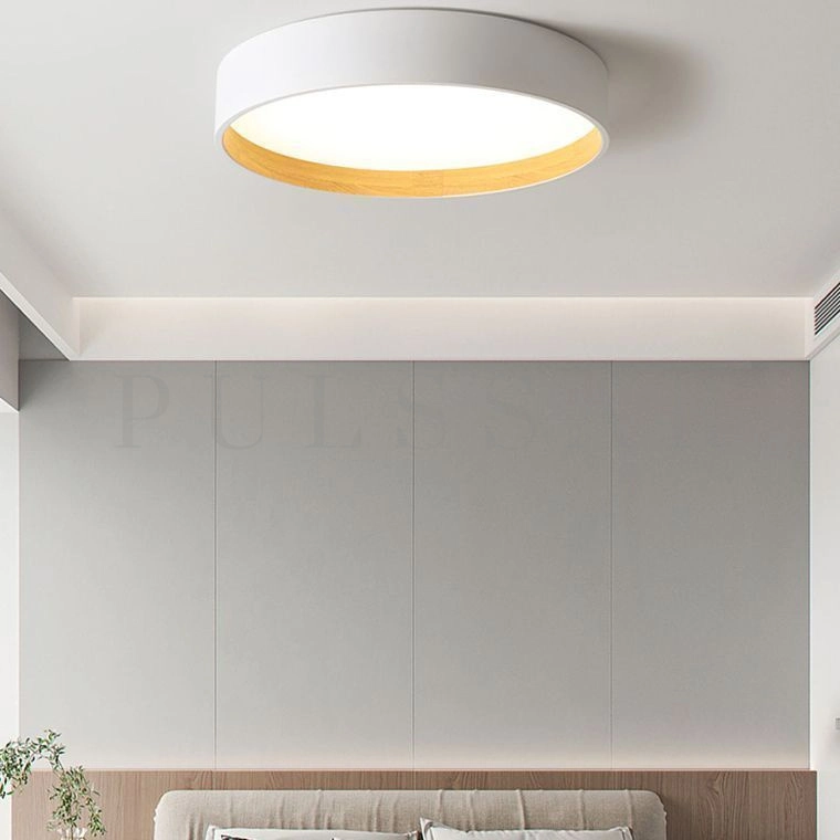 Потолочный светильник NETTY