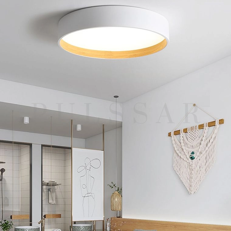 Потолочный светильник NETTY