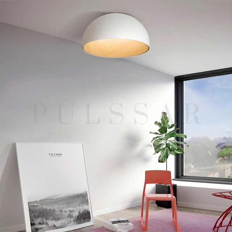 Потолочный светильник BARA