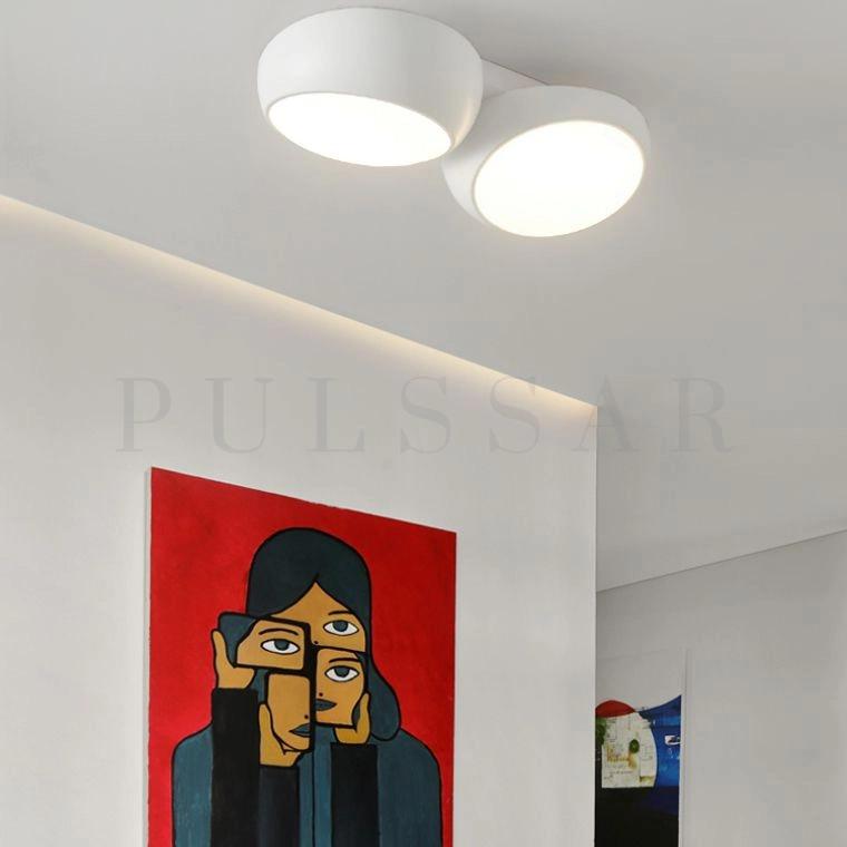 Потолочный светильник DAGA