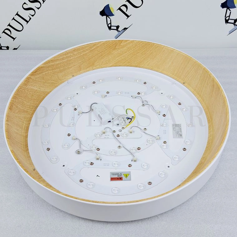 Потолочный светильник WENNY