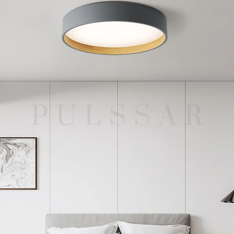 Потолочный светильник NETTY