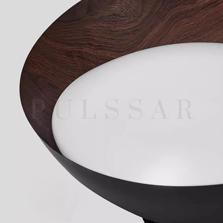 Потолочный светильник EDVIN