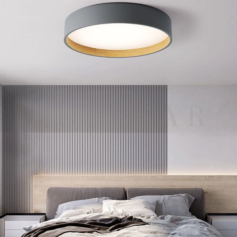 Потолочный светильник NETTY