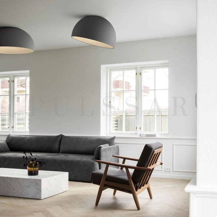 Потолочный светильник BARA