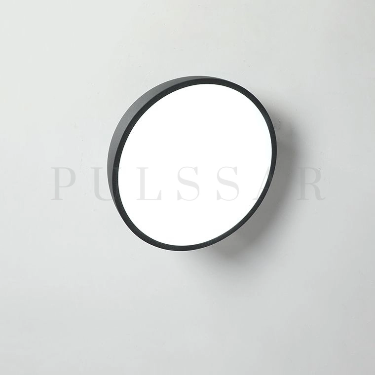 Потолочный светильник SELDEN