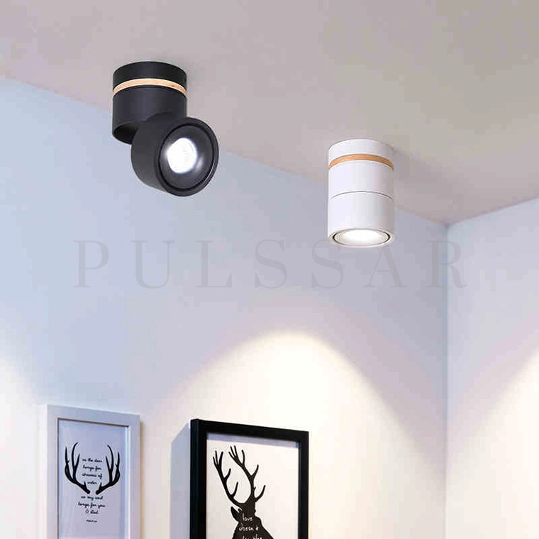 Точечный светильник AGENDA WOOD