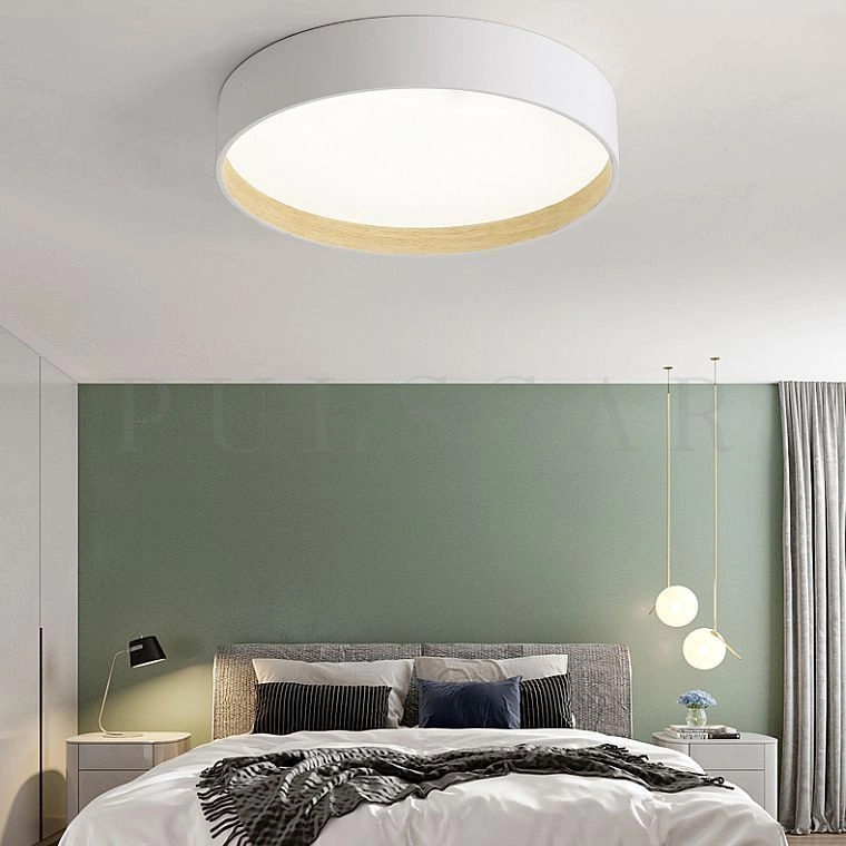 Потолочный светильник NETTY