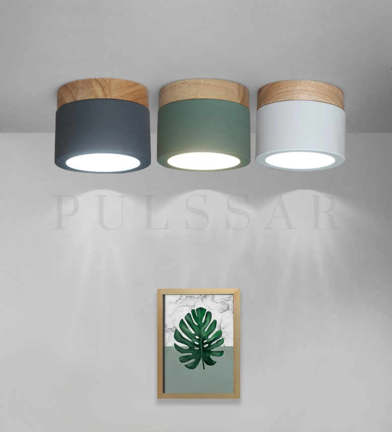 Точечный светильник WOOD COLOR