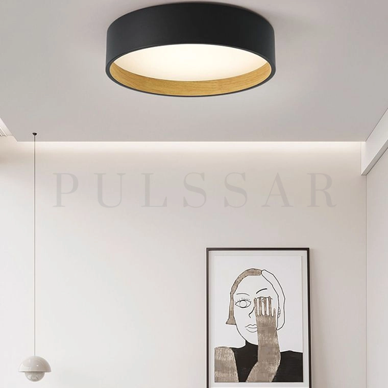 Потолочный светильник NETTY