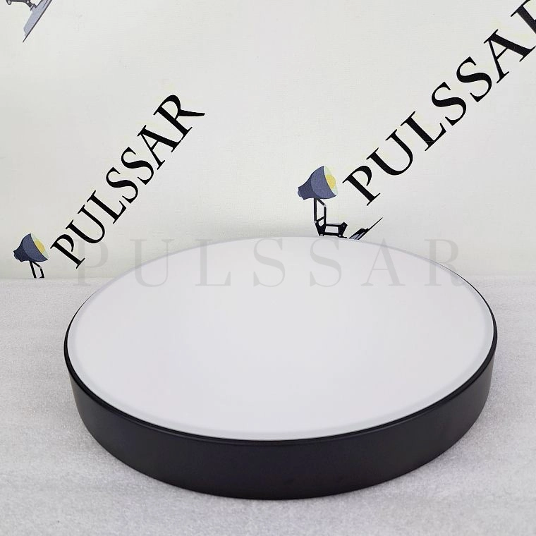 Потолочный светильник DISC BW