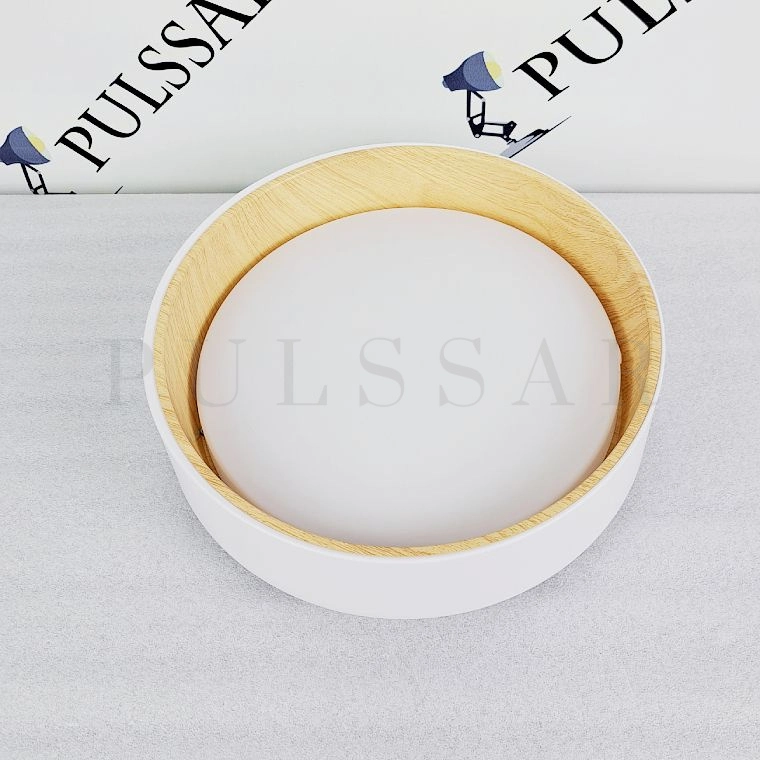 Потолочный светильник WENNY