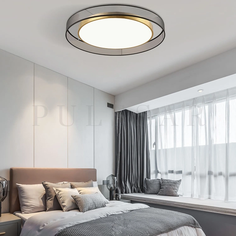 Потолочный светильник DANICA