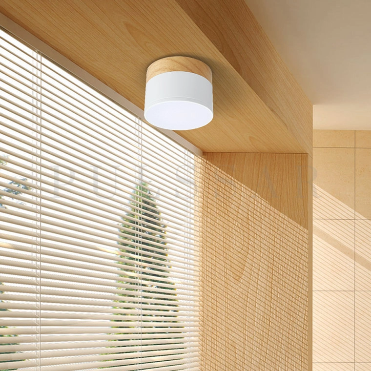 Точечный светильник WOODS