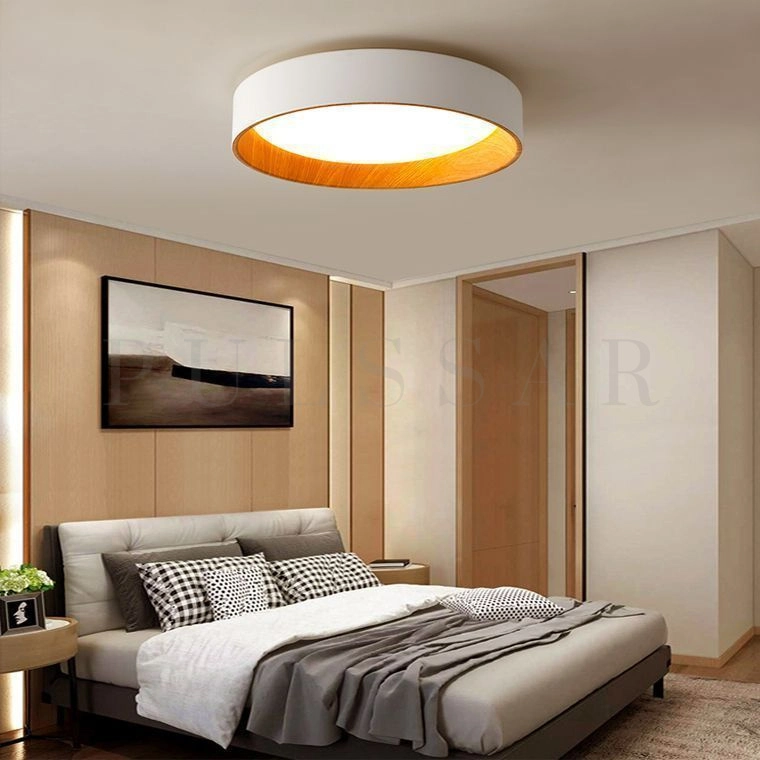 Потолочный светильник WENNY