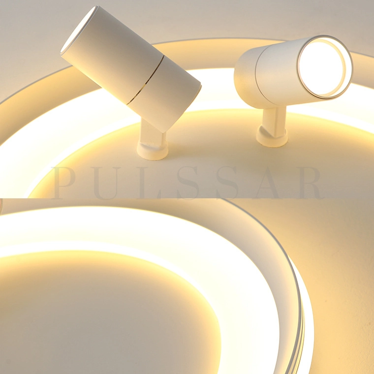 Потолочный светильник GARB