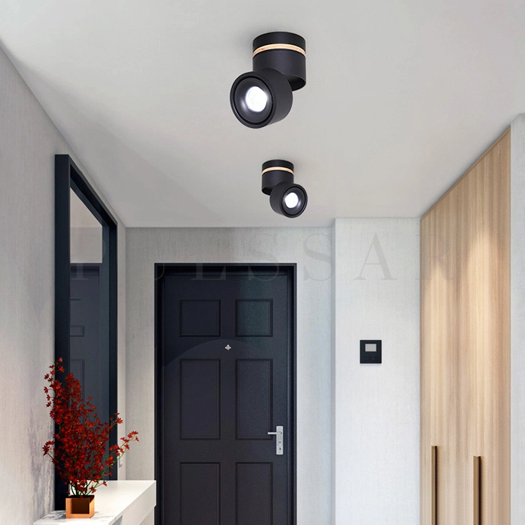 Точечный светильник AGENDA WOOD