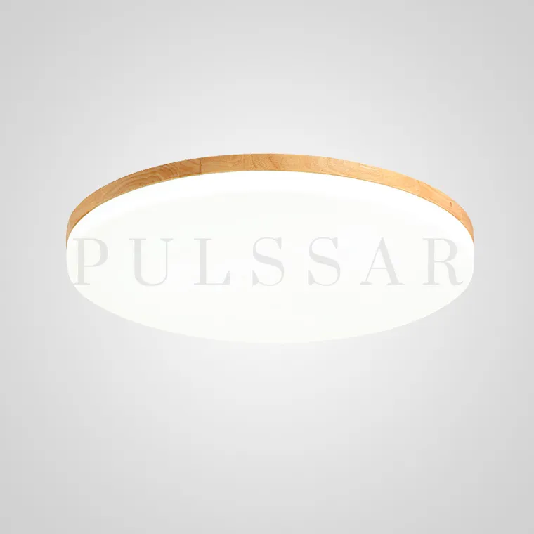 Потолочный светильник DISC HALF