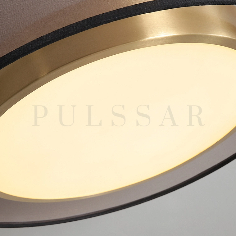 Потолочный светильник DANICA