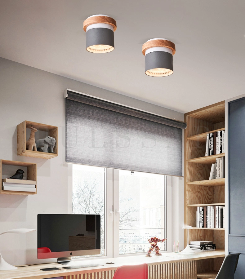 Точечный светильник TRANSFORM