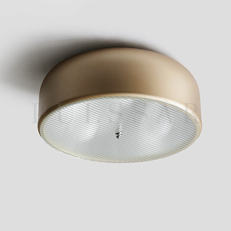 Потолочный светильник RANNY