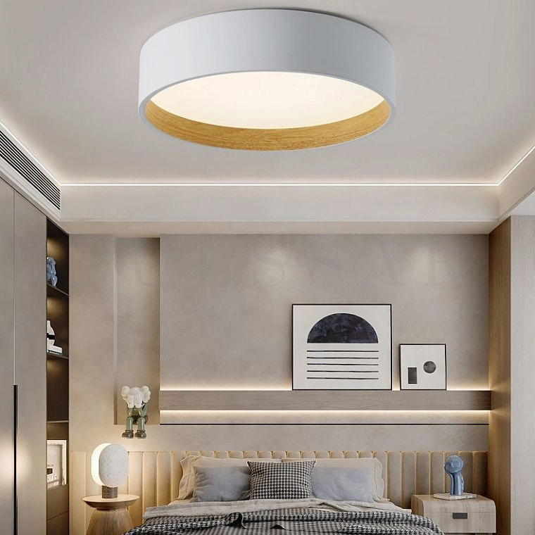 Потолочный светильник NETTY