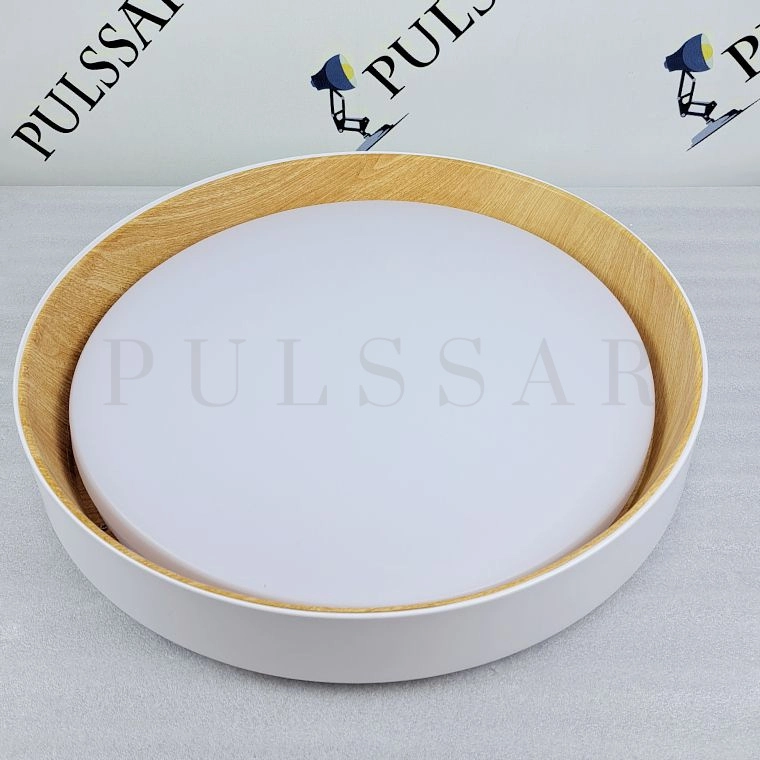 Потолочный светильник WENNY