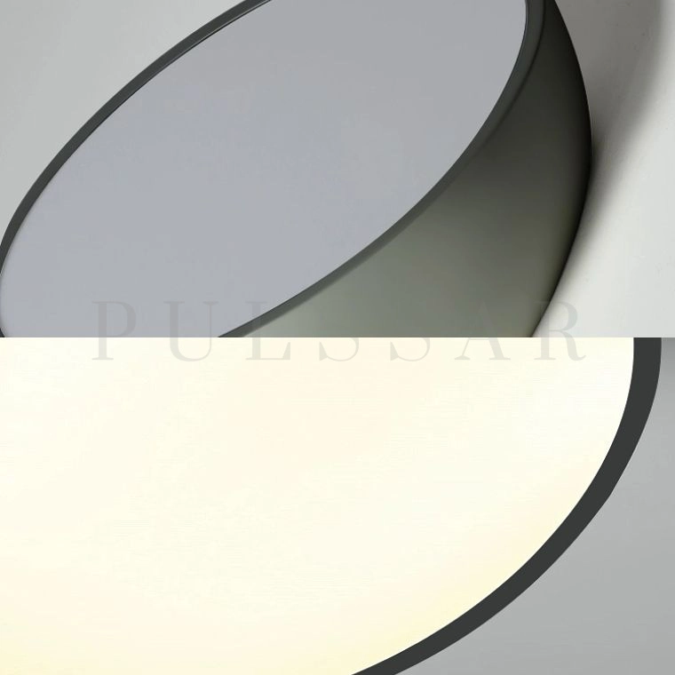 Потолочный светильник SELDEN